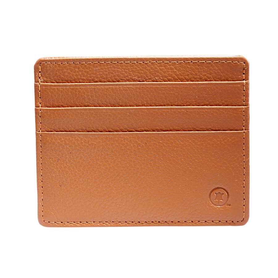 Singular card case